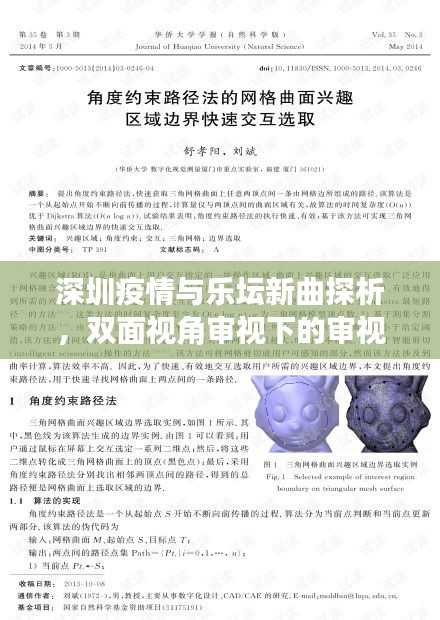 深圳疫情与乐坛新曲探析，双面视角审视下的审视报告