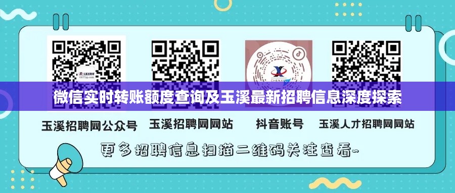 微信实时转账额度查询及玉溪最新招聘信息深度探索
