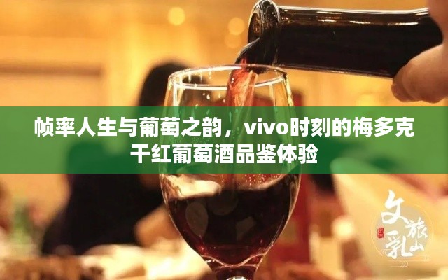 帧率人生与葡萄之韵,vivo时刻的梅多克干红葡萄酒品鉴体验