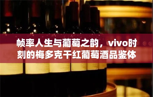 帧率人生与葡萄之韵,vivo时刻的梅多克干红葡萄酒品鉴体验