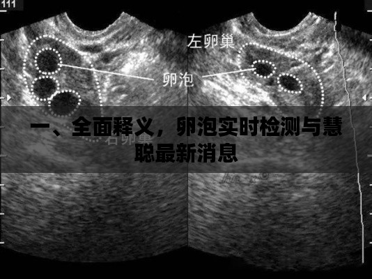 一、全面释义,卵泡实时检测与慧聪最新消息