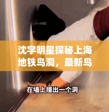 沈字明星探秘上海地铁鸟洞,最新鸟洞探秘集锦