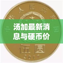 汤加最新消息与硬币价格回顾,历史与现实的交汇点
