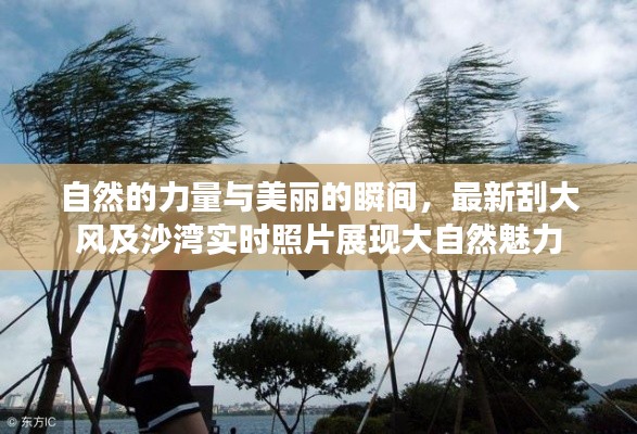 自然的力量与美丽的瞬间,最新刮大风及沙湾实时照片展现大自然魅力