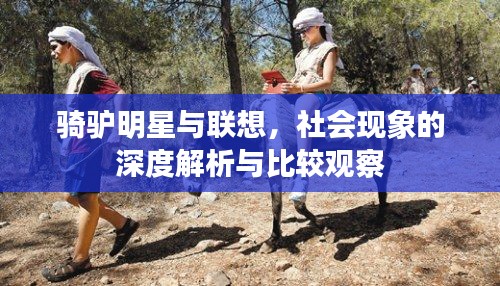 骑驴明星与联想,社会现象的深度解析与比较观察