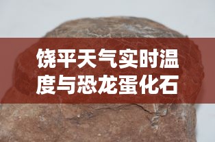 饶平天气实时温度与恐龙蛋化石价格探索