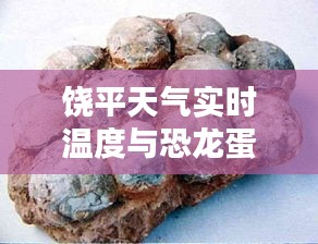 饶平天气实时温度与恐龙蛋化石价格探索