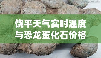 饶平天气实时温度与恐龙蛋化石价格探索