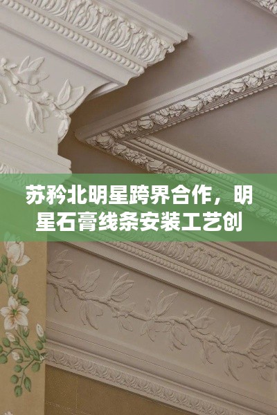 苏矜北明星跨界合作，明星石膏线条安装工艺创新