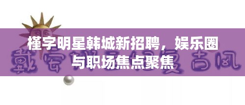 槿字明星韩城新招聘,娱乐圈与职场焦点聚焦