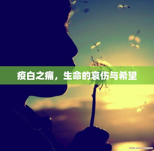 疫白之痛,生命的哀伤与希望
