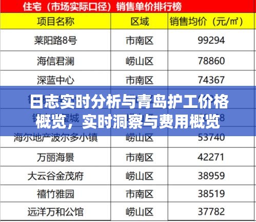日志实时分析与青岛护工价格概览，实时洞察与费用概览