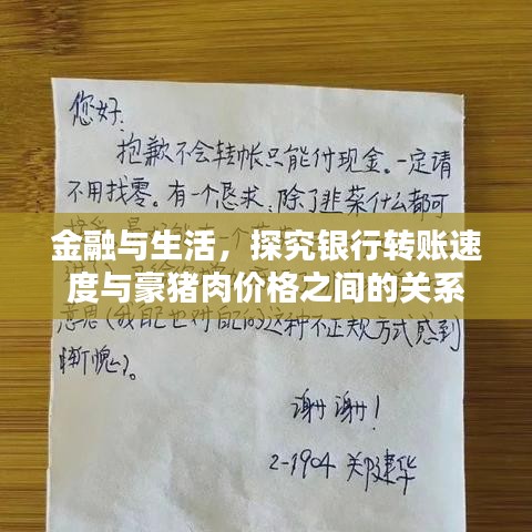 金融与生活，探究银行转账速度与豪猪肉价格之间的关系