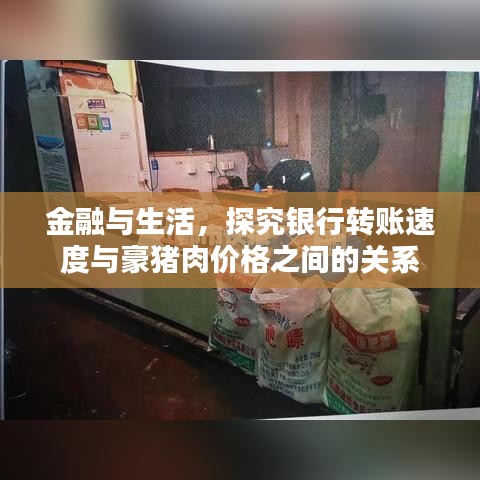 金融与生活,探究银行转账速度与豪猪肉价格之间的关系