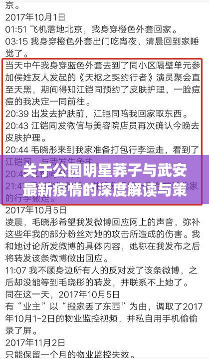 关于公园明星莽子与武安最新疫情的深度解读与策略探讨