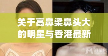 关于高鼻梁鼻头大的明星与香港最新护照入境规定的深度解析