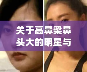 关于高鼻梁鼻头大的明星与香港最新护照入境规定的深度解析