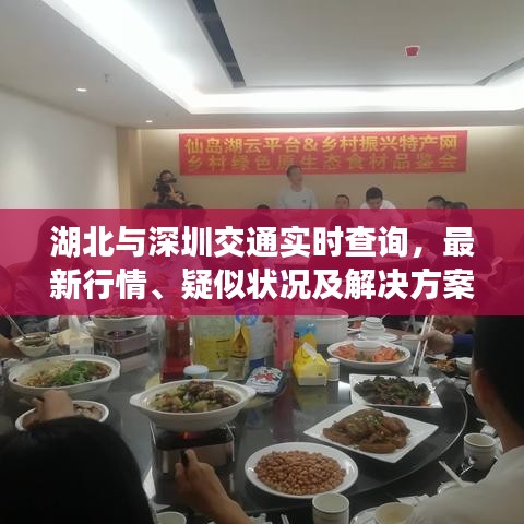 湖北与深圳交通实时查询,最新行情、疑似状况及解决方案汇总