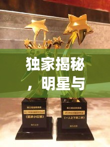 独家揭秘，明星与狐妖新动态——1月2日魅力大爆料！