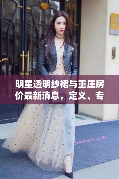 明星透明纱裙与重庄房价最新消息,定义、专家见解及公众防范