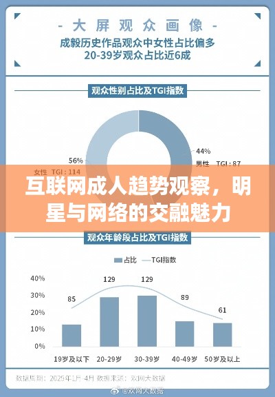 互联网成人趋势观察,明星与网络的交融魅力