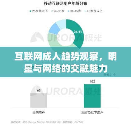 互联网成人趋势观察,明星与网络的交融魅力