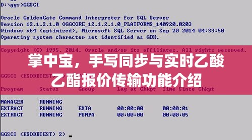 掌中宝，手写同步与实时乙酸乙酯报价传输功能介绍