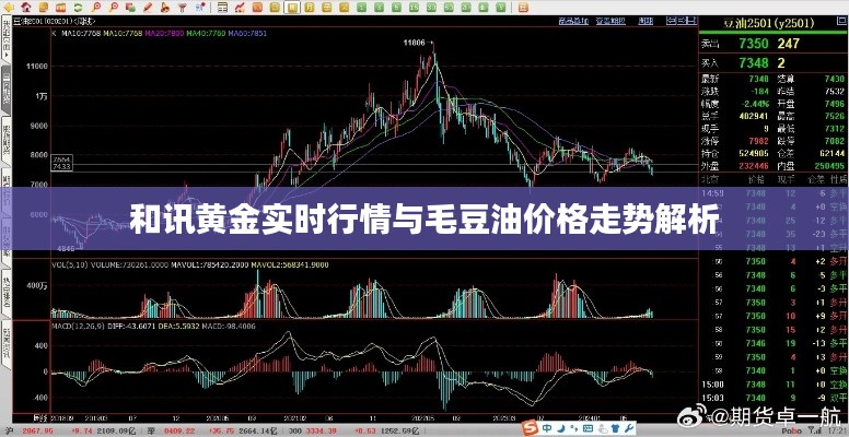 和讯黄金实时行情与毛豆油价格走势解析