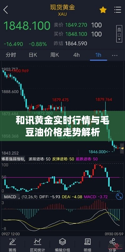 和讯黄金实时行情与毛豆油价格走势解析