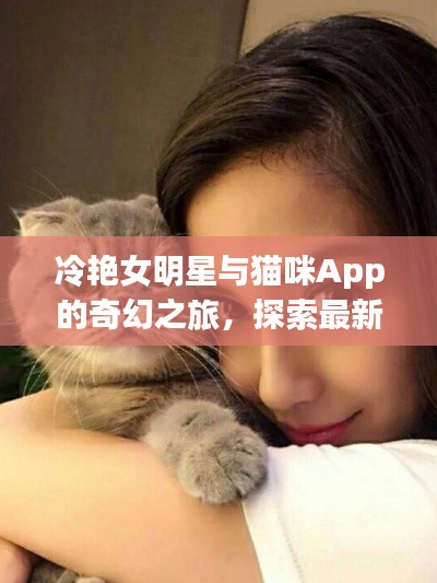 冷艳女明星与猫咪App的奇幻之旅，探索最新版本的奇妙世界