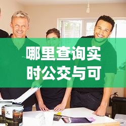 哪里查询实时公交与可耐美乳胶漆价格表——正本清源与务实指导及打假警示