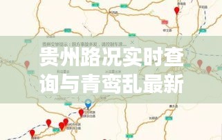 贵州路况实时查询与青鸾乱最新章节解读