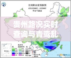 贵州路况实时查询与青鸾乱最新章节解读
