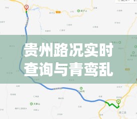贵州路况实时查询与青鸾乱最新章节解读