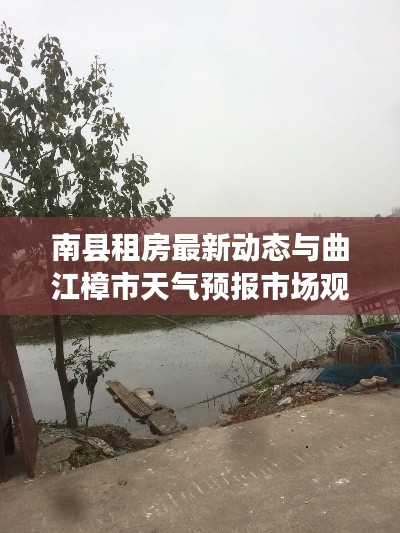 南县租房最新动态与曲江樟市天气预报市场观察