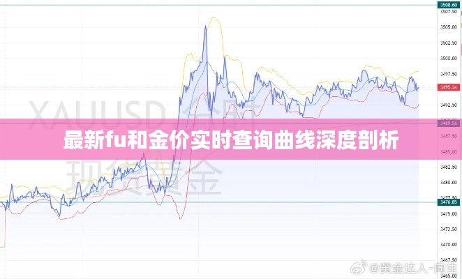 最新fu和金价实时查询曲线深度剖析
