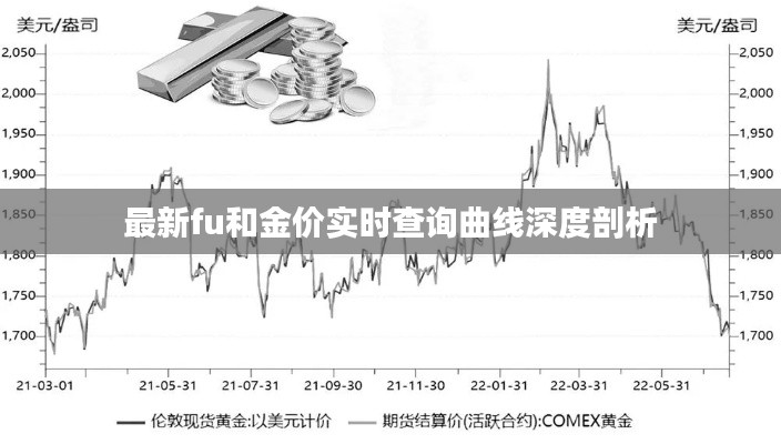 最新fu和金价实时查询曲线深度剖析