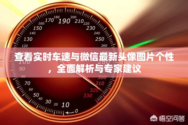 查看实时车速与微信最新头像图片个性,全面解析与专家建议