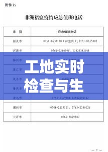 工地实时检查与生猪价格揭秘，实用资讯一网打尽！