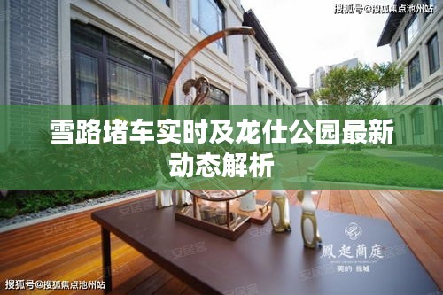 雪路堵车实时及龙仕公园最新动态解析