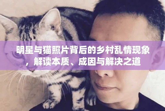 明星与猫照片背后的乡村乱情现象,解读本质、成因与解决之道
