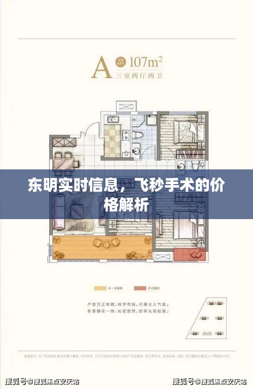 东明实时信息,飞秒手术的价格解析