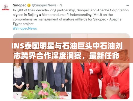 INS泰国明星与石油巨头中石油刘志跨界合作深度洞察,最新任命揭示合作新动向