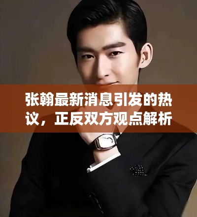 张翰最新消息引发的热议,正反双方观点解析与实时反馈影响