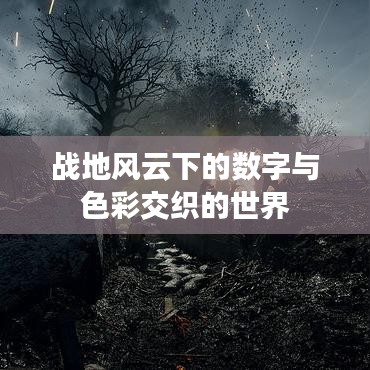战地风云下的数字与色彩交织的世界