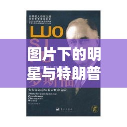 图片下的明星与特朗普通告,名人政治现象的深度观察