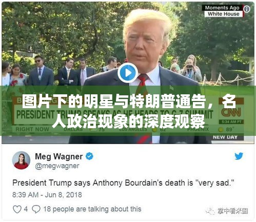 图片下的明星与特朗普通告,名人政治现象的深度观察