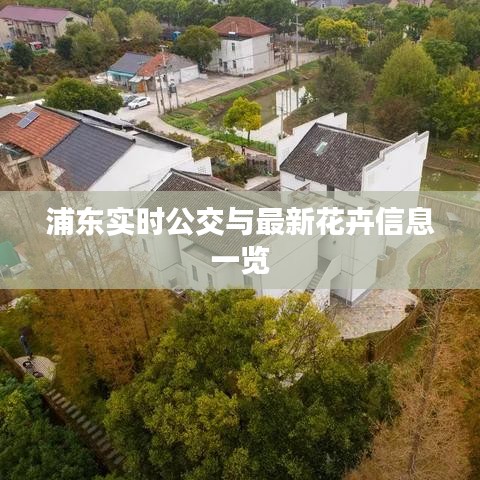 浦东实时公交与最新花卉信息一览