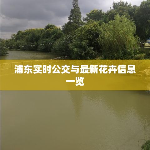 浦东实时公交与最新花卉信息一览