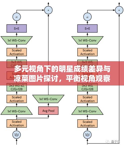 多元视角下的明星成绩差异与凉菜图片探讨,平衡视角观察分析
